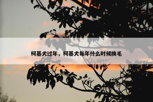 柯基犬过年，柯基犬每年什么时候换毛