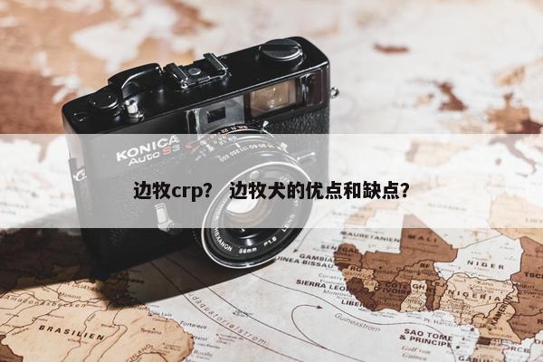 边牧crp？ 边牧犬的优点和缺点？