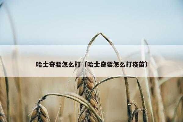 哈士奇要怎么打（哈士奇要怎么打疫苗）