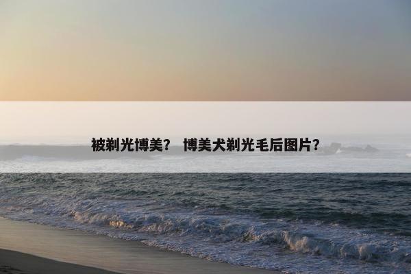 被剃光博美？ 博美犬剃光毛后图片？