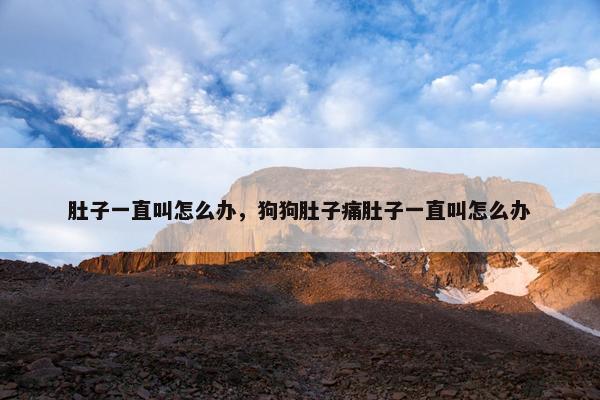 肚子一直叫怎么办，狗狗肚子痛肚子一直叫怎么办