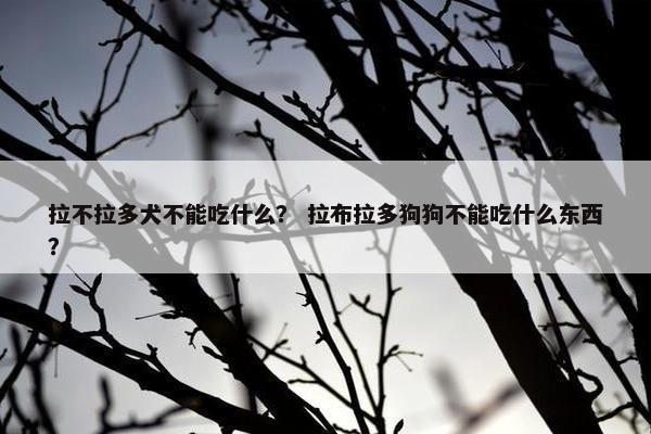 拉不拉多犬不能吃什么？ 拉布拉多狗狗不能吃什么东西？