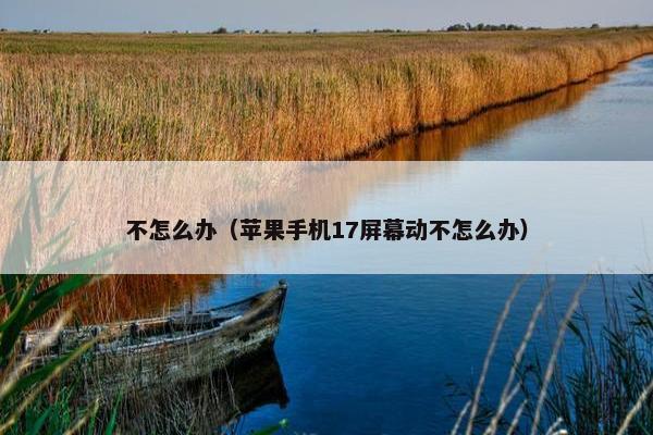 不怎么办(苹果手机17屏幕动不怎么办)