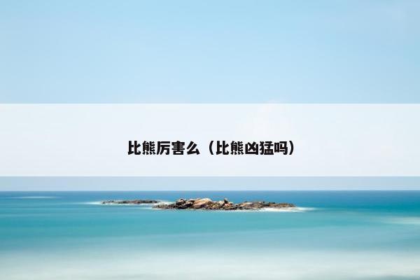 比熊厉害么（比熊凶猛吗）
