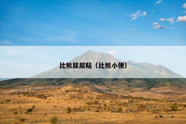 比熊尿尿粘(比熊小便)