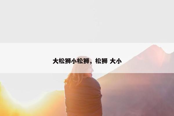大松狮小松狮,松狮 大小