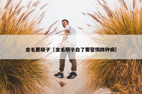 金毛要胡子(金毛胡子白了要警惕四种病)