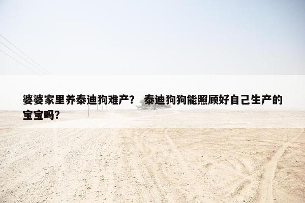 婆婆家里养泰迪狗难产? 泰迪狗狗能照顾好自己生产的宝宝吗?