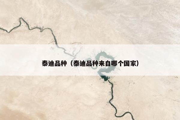 泰迪品种(泰迪品种来自哪个国家)