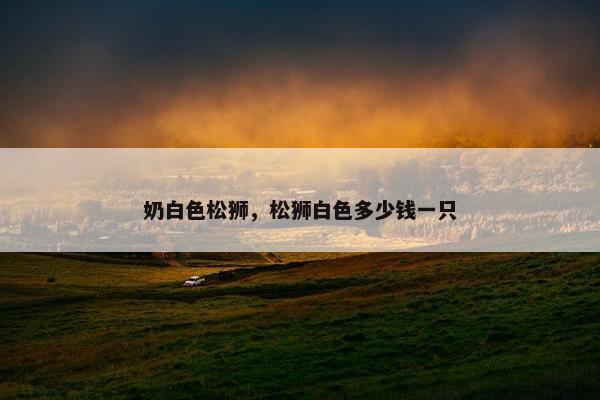 奶白色松狮,松狮白色多少钱一只