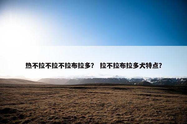 热不拉不拉不拉布拉多? 拉不拉布拉多犬特点?