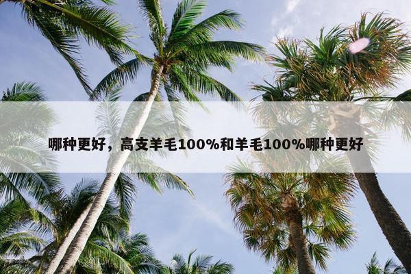 哪种更好，高支羊毛100%和羊毛100%哪种更好