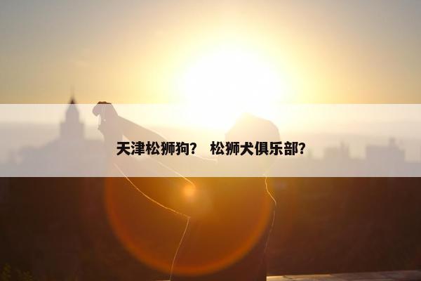 天津松狮狗? 松狮犬俱乐部?