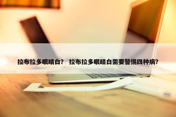 拉布拉多眼睛白? 拉布拉多眼睛白需要警惕四种病?