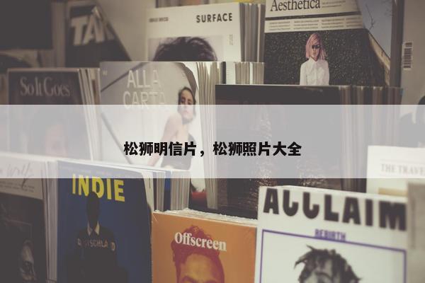 松狮明信片,松狮照片大全