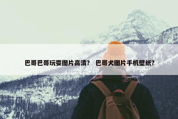 巴哥巴哥玩耍图片高清? 巴哥犬图片手机壁纸?