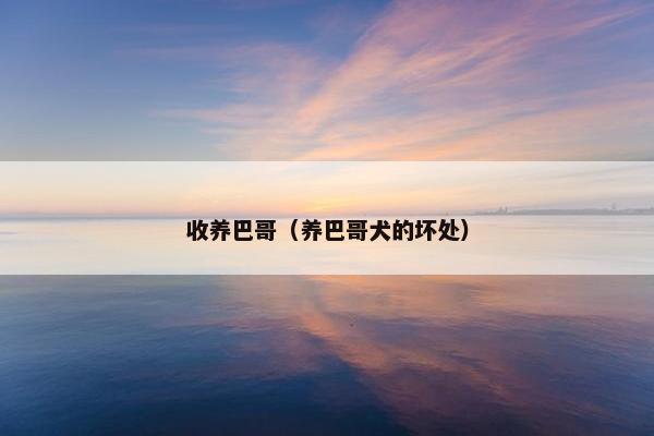 收养巴哥(养巴哥犬的坏处)