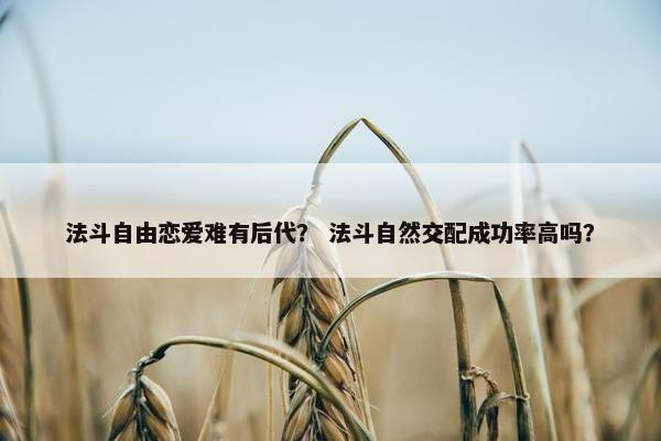 法斗自由恋爱难有后代? 法斗自然交配成功率高吗?