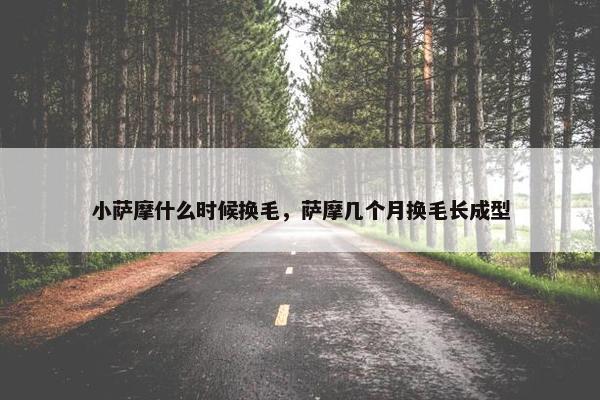 小萨摩什么时候换毛,萨摩几个月换毛长成型