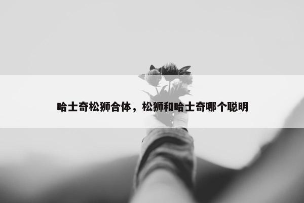 哈士奇松狮合体,松狮和哈士奇哪个聪明