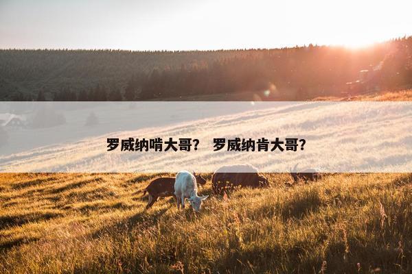 罗威纳啃大哥? 罗威纳肯大哥?