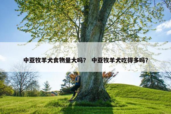 中亚牧羊犬食物量大吗? 中亚牧羊犬吃得多吗?