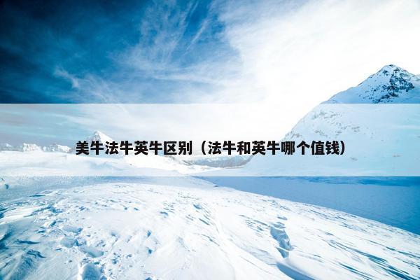 美牛法牛英牛区别(法牛和英牛哪个值钱)