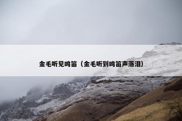 金毛听见鸣笛（金毛听到鸣笛声落泪）