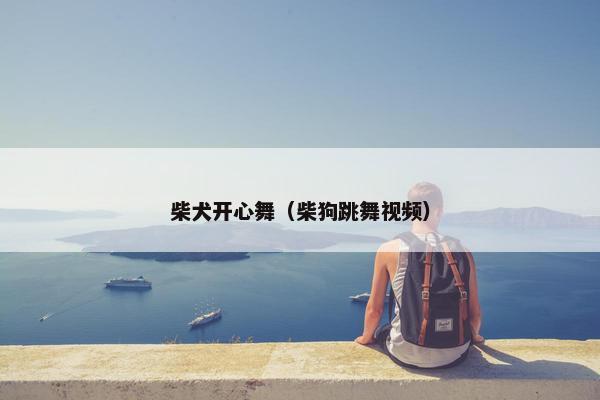 柴犬开心舞（柴狗跳舞视频）