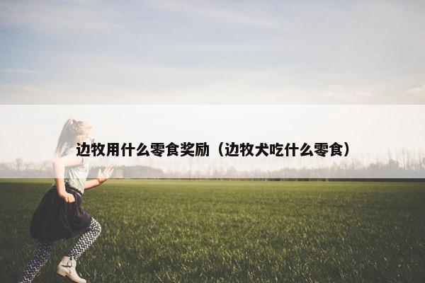 边牧用什么零食奖励(边牧犬吃什么零食)