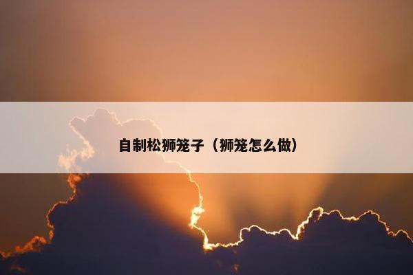 自制松狮笼子(狮笼怎么做)