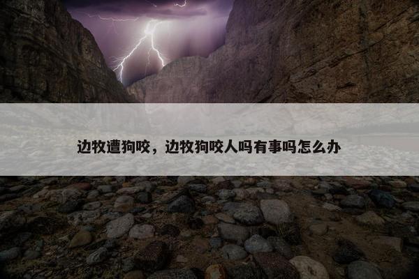边牧遭狗咬,边牧狗咬人吗有事吗怎么办