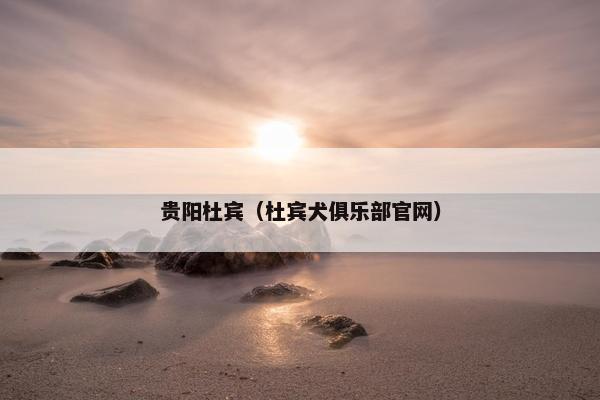 贵阳杜宾(杜宾犬俱乐部官网)