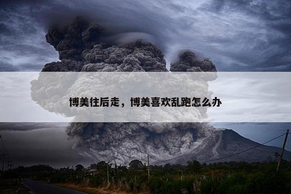 博美往后走，博美喜欢乱跑怎么办