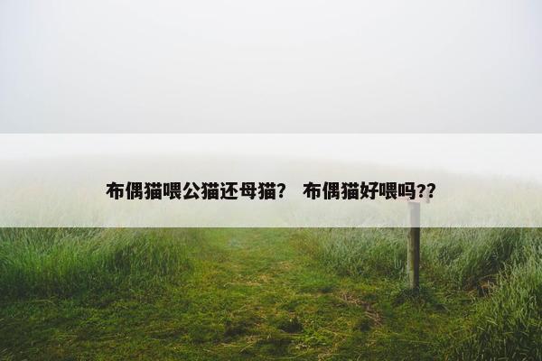 布偶猫喂公猫还母猫? 布偶猫好喂吗??