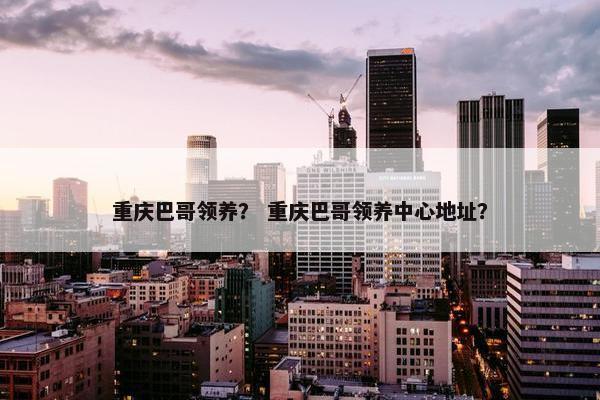 重庆巴哥领养? 重庆巴哥领养中心地址?