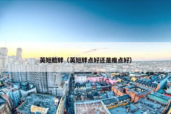 英短脸胖(英短胖点好还是瘦点好)