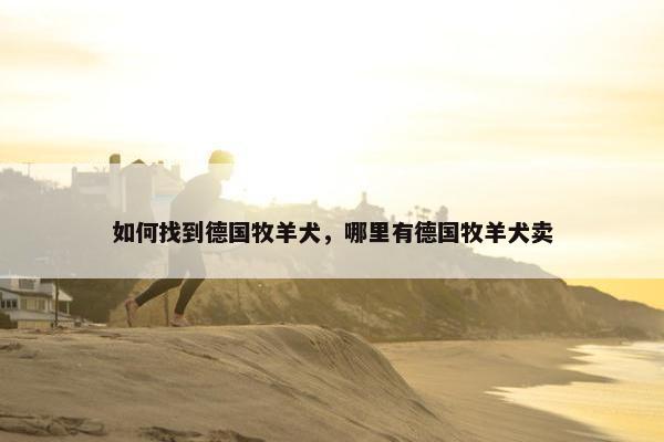 如何找到德国牧羊犬,哪里有德国牧羊犬卖