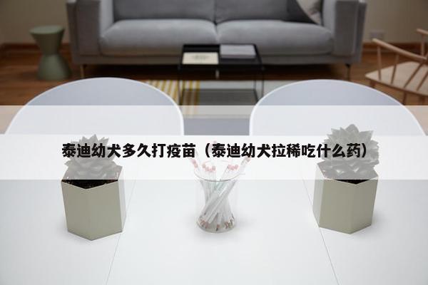 泰迪幼犬多久打疫苗（泰迪幼犬拉稀吃什么药）