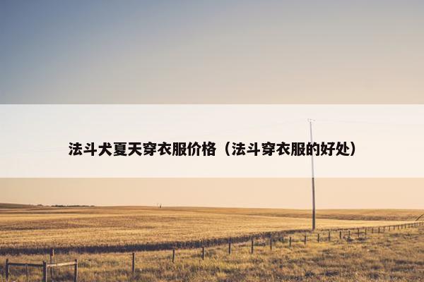法斗犬夏天穿衣服价格(法斗穿衣服的好处)