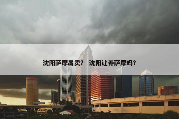沈阳萨摩出卖? 沈阳让养萨摩吗?
