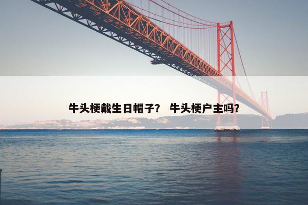 牛头梗戴生日帽子？ 牛头梗户主吗？