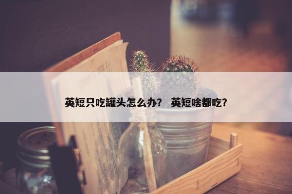 英短只吃罐头怎么办？ 英短啥都吃？