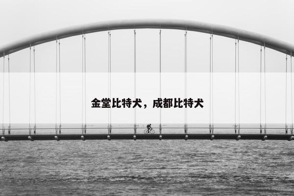 金堂比特犬,成都比特犬