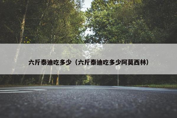 六斤泰迪吃多少(六斤泰迪吃多少阿莫西林)