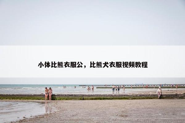 小体比熊衣服公,比熊犬衣服视频教程