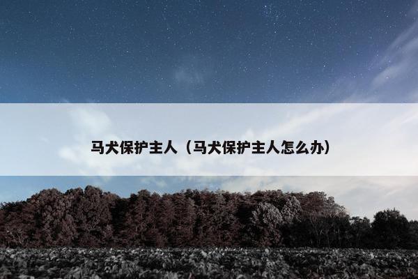 马犬保护主人(马犬保护主人怎么办)