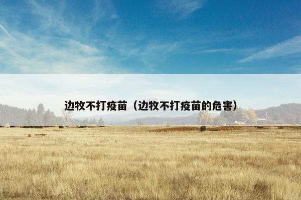 边牧不打疫苗(边牧不打疫苗的危害)