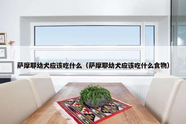 萨摩耶幼犬应该吃什么(萨摩耶幼犬应该吃什么食物)