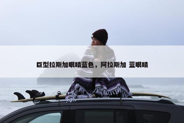 巨型拉斯加眼睛蓝色,阿拉斯加 蓝眼睛